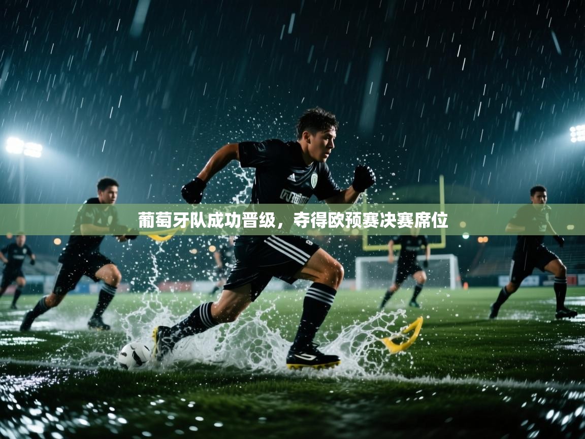 葡萄牙队成功晋级，夺得欧预赛决赛席位  第2张