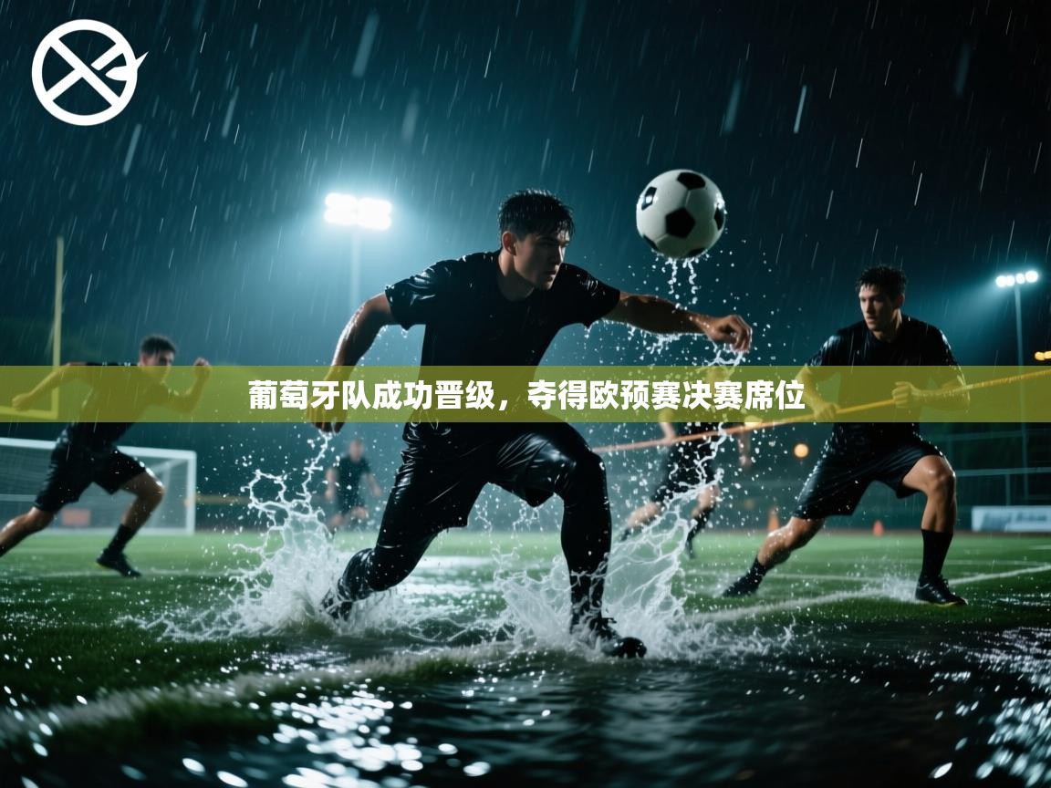 葡萄牙队成功晋级，夺得欧预赛决赛席位  第1张