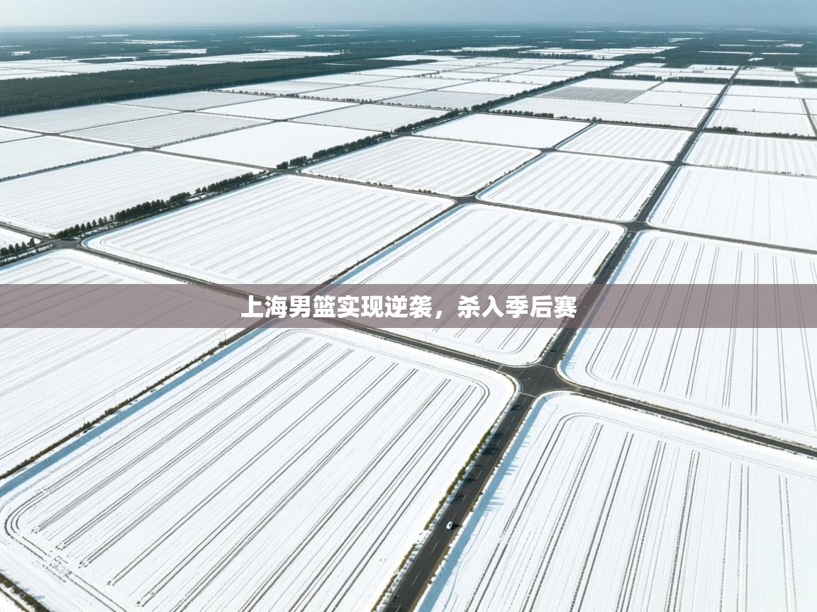 上海男篮实现逆袭，杀入季后赛  第1张